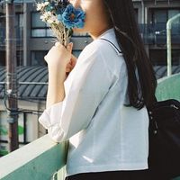 __hosinoouzisama