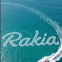 raakio1
