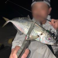 fishing_samurai99