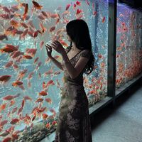 nhạc nền - lynh_luu