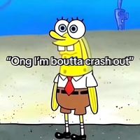smellysausages37