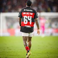 oficial_wallaceyan