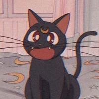 lui______.8