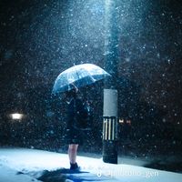 오리지널 사운드 - 초심불망 New
