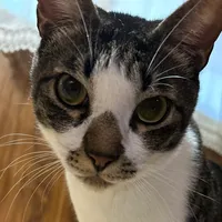 original sound - buchan0415