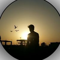 nido_naveed7