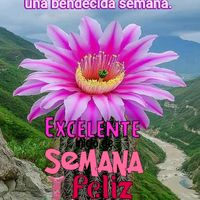 yesicatorales0