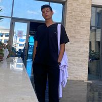 hossamelawam4