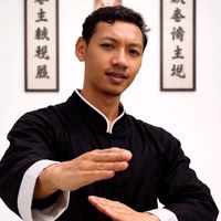 ariyantowingchun