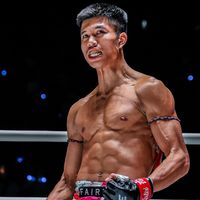 ferrari_fairtex1