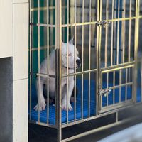 original sound - ENG7050