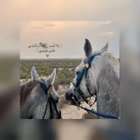 original sound - nor_altorry