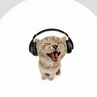 stargirl.jennie_tipss13