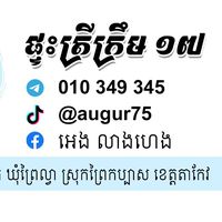 augur75