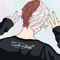 fasdetodoroki8