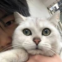 原声 - 第七片海