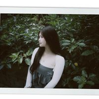 td_cover