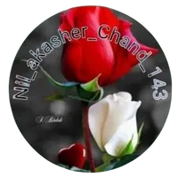 খাইলাম কত ভ