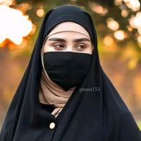 amli.313