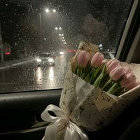 spx_tulip