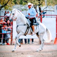 trinidadparedes42