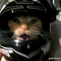 suara asli - kreatordance