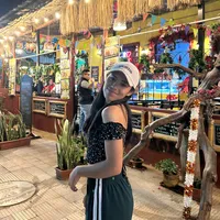 original sound - roxanapt0