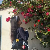 lopcxdiiary