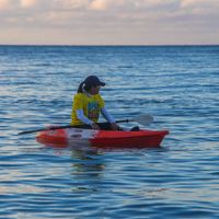 original sound - Lysa Remo