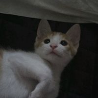 jy_5157