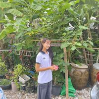 မူရင်းအသံ - ThetZin W'n