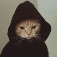 original sound - kzattpromax26