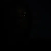 original sound - sir_tomi