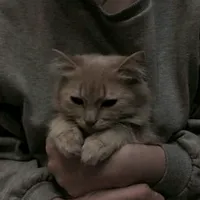 original sound - nemonhac_07