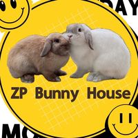 zp.bunny.house