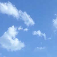 これが僕の気持ちテオくんpart