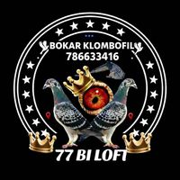 bouksou313