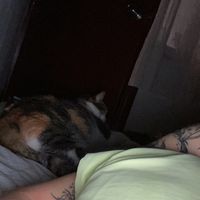 nata_00g