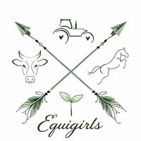 collab.equin123