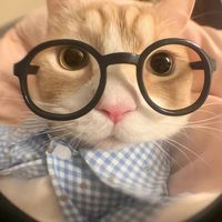 เสียงต้นฉบับ - ไม่บอก