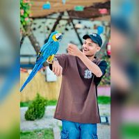 badsha_x2.0
