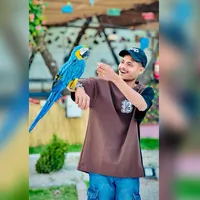original sound - badsha_x2.0