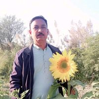 misrimaheshwari
