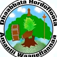 original sound - gurraachaafrikaa40