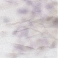 __onx8