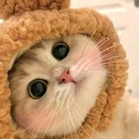 yurikubb_12