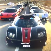 TikTok_kingi