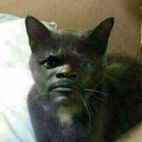 suara asli - adrayennnn