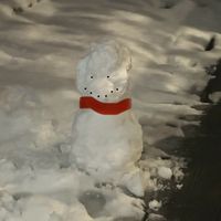 no1winter