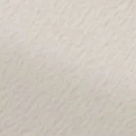 الصوت فيه موسيقى